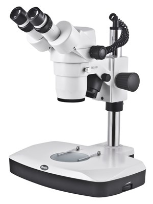 Bild von Stereo Mikroskope Modell SMZ-168-BL, Auflicht/Durchlicht, 50xVergrößerung
